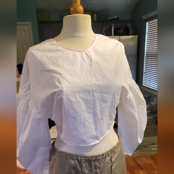 Ultra Chic Zara Crop Top with Puff Sleeves - Picture 4 of 6